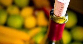 intelligence-limiting-belief