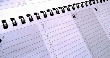 Individual development plan