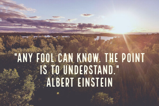 Quote about understanding